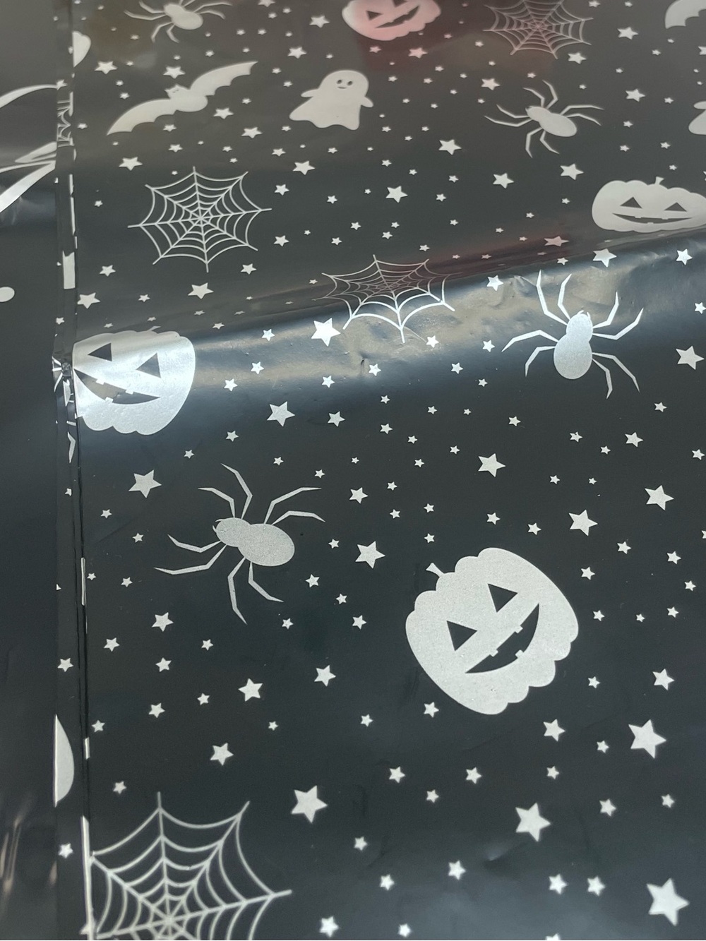 Halloween Black & Silver PloyMailers 10 X 13